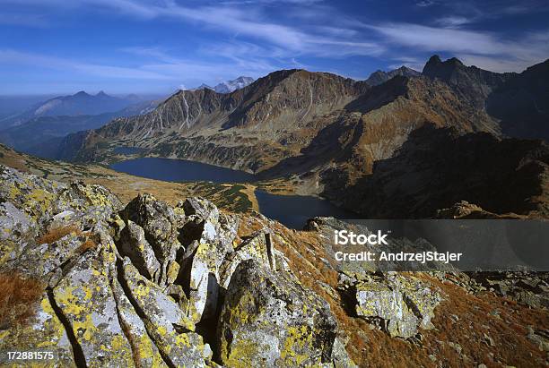 Parque De Tatra Polónia - Fotografias de stock e mais imagens de Ao Ar Livre - Ao Ar Livre, Cadeia de Montanhas, Cena Não Urbana