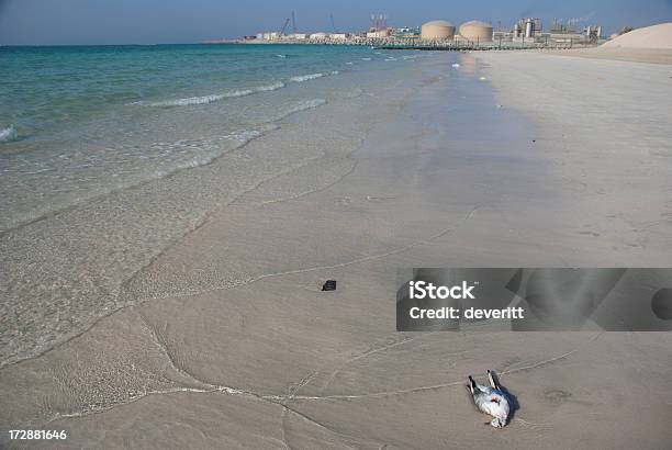 Causa Del Decesso Unknown - Fotografie stock e altre immagini di Dissalazione - Dissalazione, Emirati Arabi Uniti, Ambiente