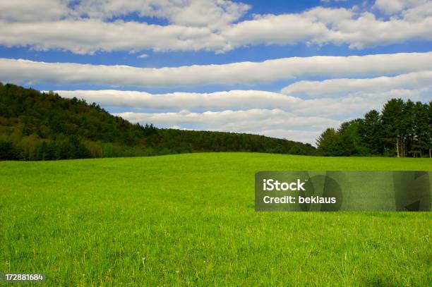 Cielos Azules Y El Paisaje De Las Montañas Foto de stock y más banco de imágenes de Aire libre - Aire libre, Aislado, Ajardinado