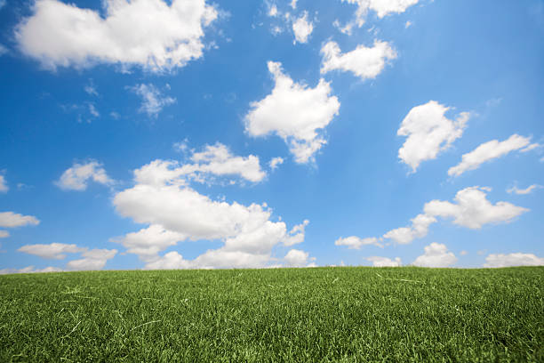 istock Blue Sky green grassy hill 172882046