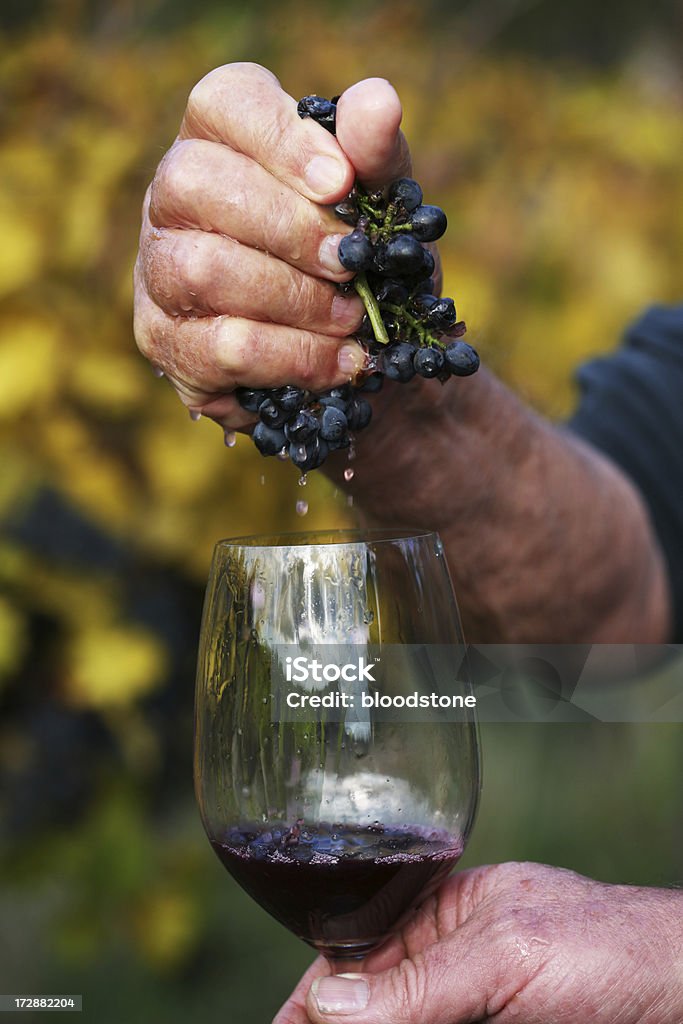 Mano schiacciato - Foto stock royalty-free di Uva