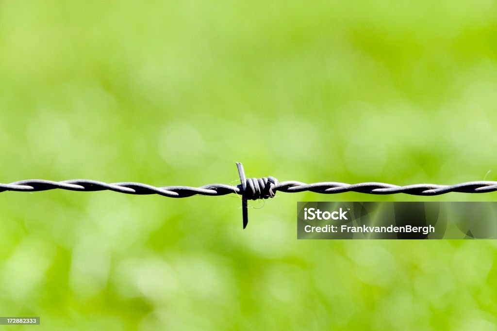 De protección - Foto de stock de Ejército de Tierra libre de derechos