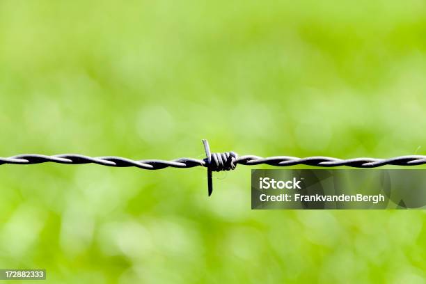 Foto de De Proteção e mais fotos de stock de Exército - Exército, Verde - Descrição de Cor, Agricultura