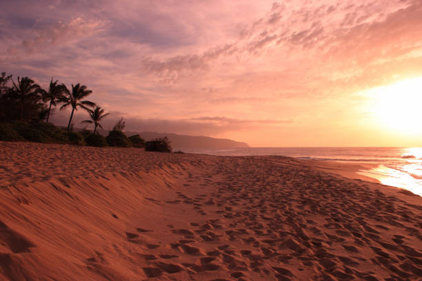 istock Sunset in Hawaii Islands 172882793