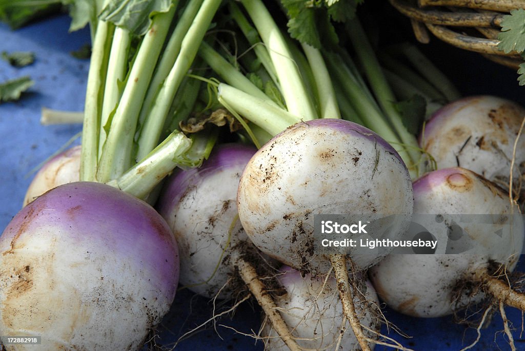 Turnips - Foto de stock de Nabo - Tubérculo libre de derechos