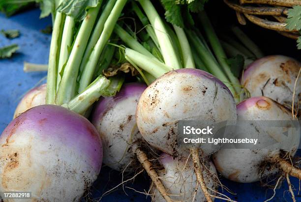 Turnips Foto de stock y más banco de imágenes de Nabo - Tubérculo - Nabo - Tubérculo, Blanco - Color, Púrpura