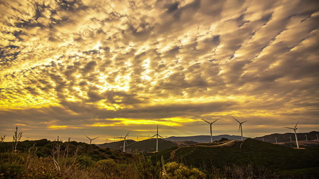 Wind farm along the coast of southern Spain - golden sunset time lapse