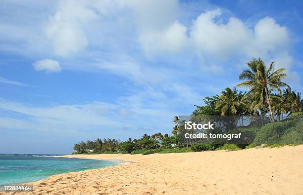 Тропический Пляж — стоковые фотографии и другие картинки Без людей - Без людей, Береговая линия, Биг Айлэнд - Гавайские острова