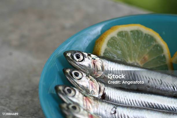 Foto de Anchova Detalhe e mais fotos de stock de Abundância - Abundância, Alimentação Saudável, Anchova