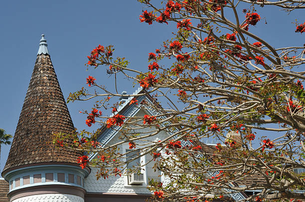 歴史あるドーム屋根の家 - house san diego california old town architecture ストックフォトと画像