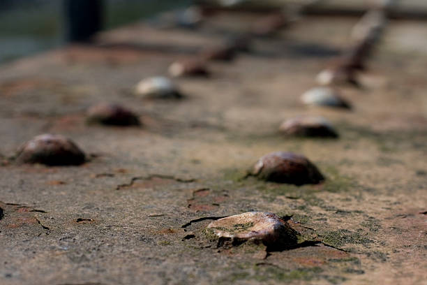 rusted landscape stock photo