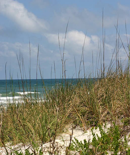 istock Jacksonville Beach, Florida 172886869