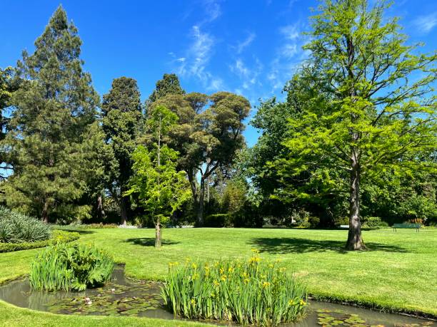 istock Parkland is it pond on sunny day 1728868945