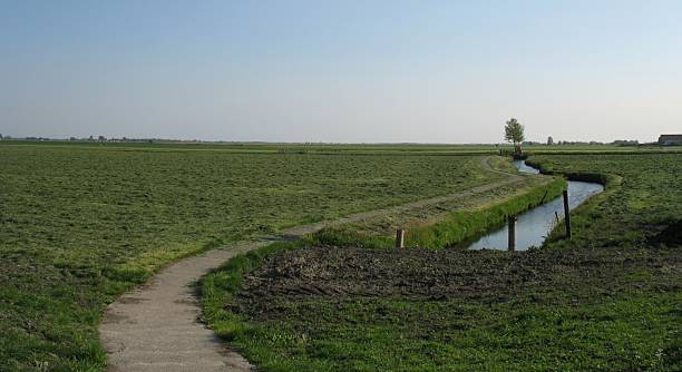 istock Dutch polder landscape 172886925