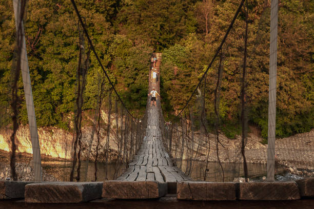 istock Suspension bridge over the river. 1728906781