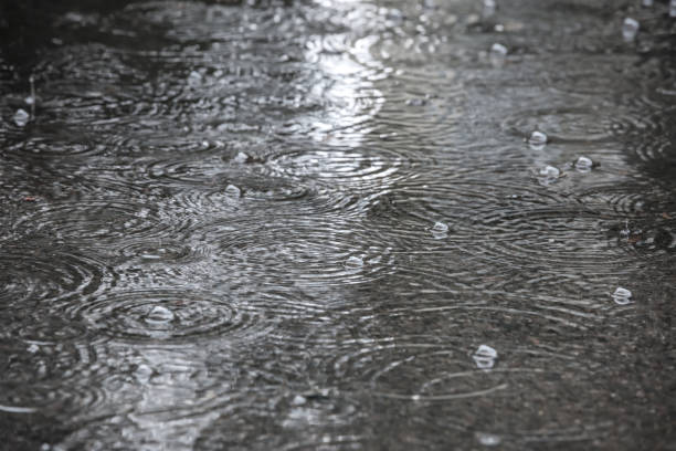 istock wavy circles on water from falling raindrops. water puddle on the street with reflection of light. 1728917686