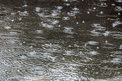 raindrops and circles in a puddle with bubbles on the water. rainy background.