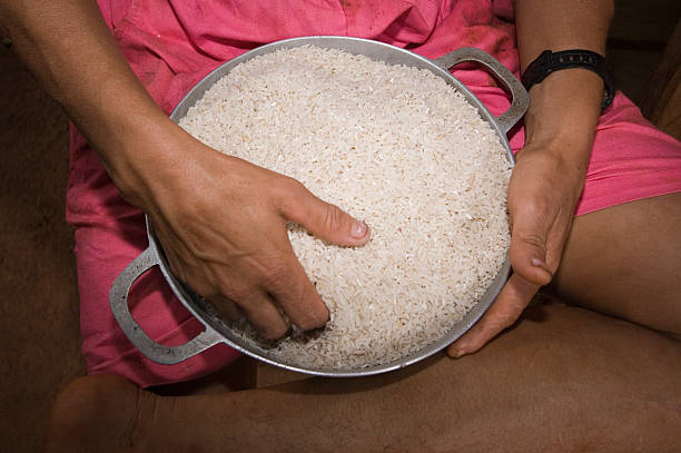 Limpando o arroz - foto de acervo
