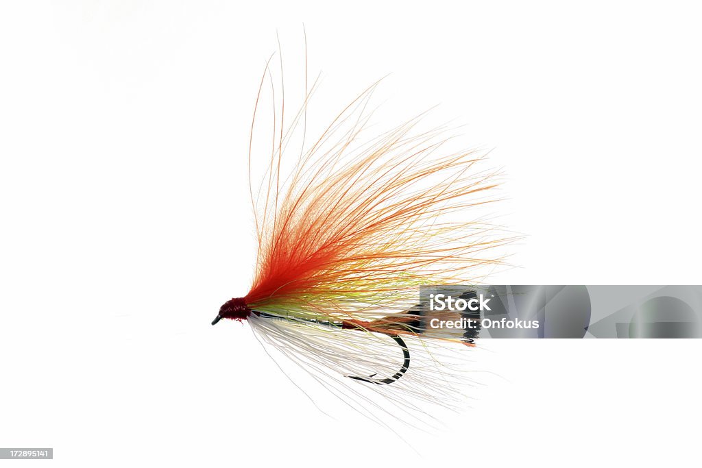 Вручную Fly Fishing Lures изолированные на белом фоне - Стоковые фото Рыболовный крючок роялти-фри