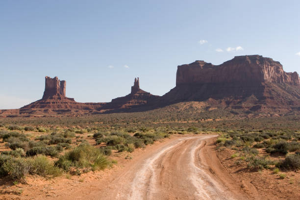 istock Dusty Road in the Desert 172895142