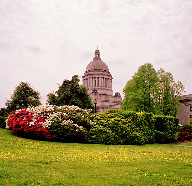 istock Flowerbeds at Washington State Capitol 172895908