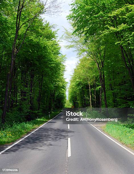 임산 Road 0명에 대한 스톡 사진 및 기타 이미지 - 0명, 2차선 고속도로, 개념