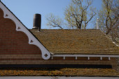 mossy-dach.jpg?b=1&s=170x170&k=20&c=EgCLD4ez0t9TNvmn2TF2OQ9R4P5jwQsBoDyKr39rc5I=