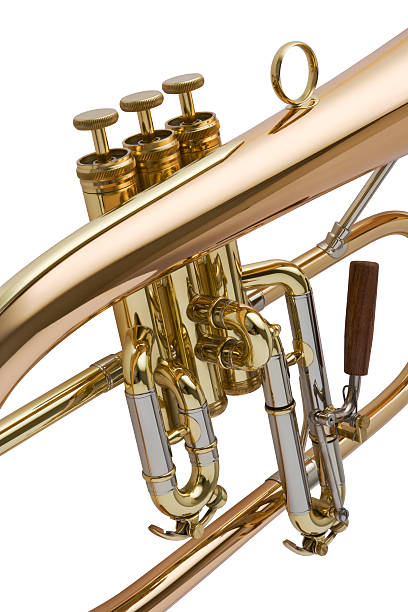 messing-horn - brass instrument trumpet classical music flugelhorn stock-fotos und bilder