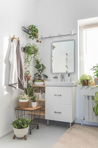 White bathroom minimalist Scandi interior sink mirror potted plant cosiness domestic apartment interior. Bath indoor room window wooden shelves metallic basket beauty hygiene cosmetic product placed