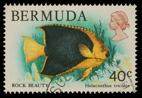 1978 Bermuda stamp depicting a Rock Beauty (type of Angelfish). Canon 40D with 100mm macro; no sharpening.