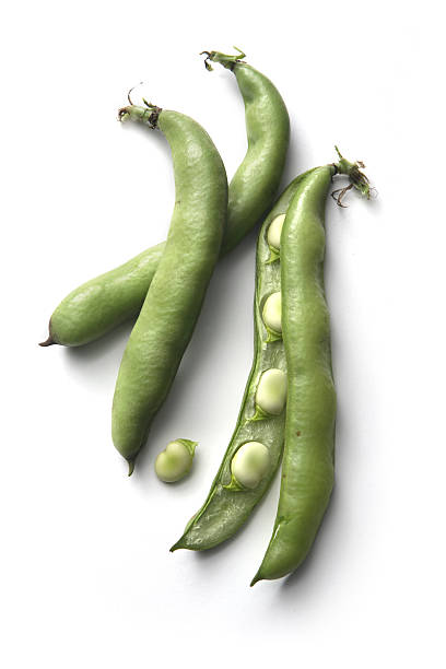 vegetales: haba gruesa - legume small group of objects nobody color image fotografías e imágenes de stock