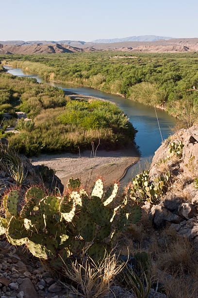 istock Prickly Pear Overlooking Rio Grande River,  Big Bend National Park. 172897248