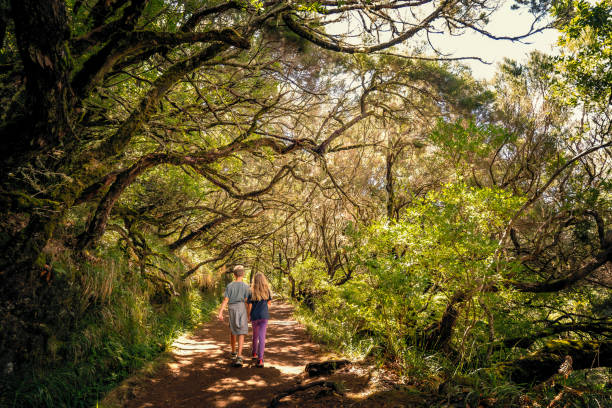 Scenic view of two young children, siblings, walking hand in hand under overhanging trees, Levada das 25 Fontes hiking trail, Madeira, Portugal