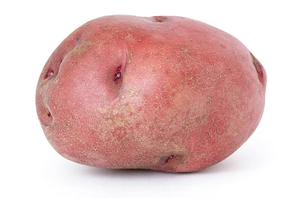 jeden duży czerwony ziemniak - red potato raw potato isolated vegetable zdjęcia i obrazy z banku zdjęć