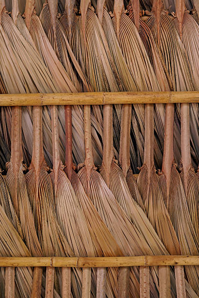 Las hojas de henna - foto de stock