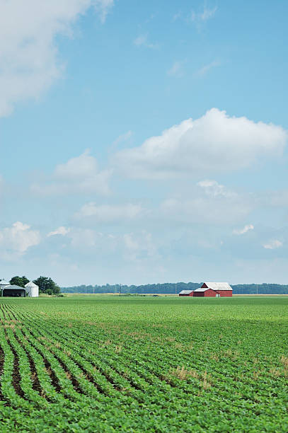 A panorama of a farm in central Nebraska