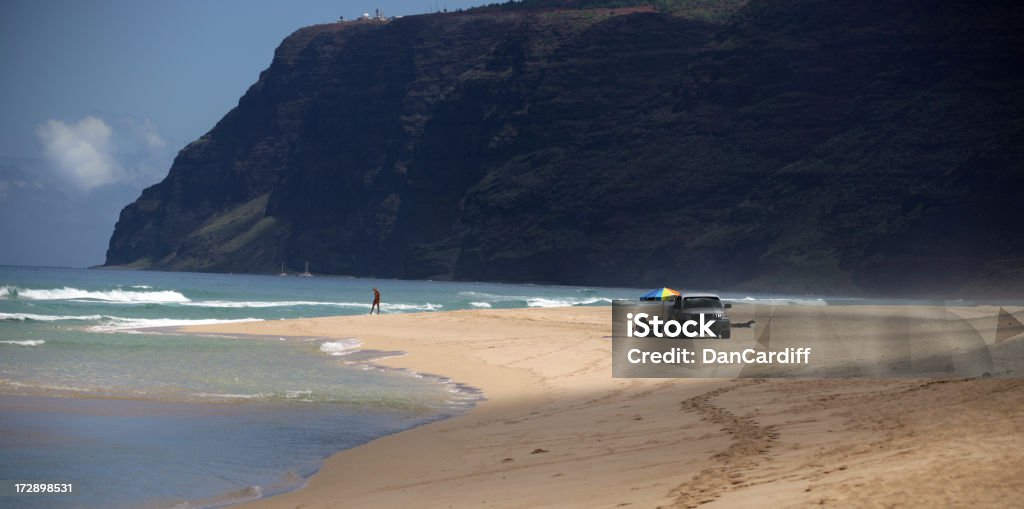 Polihale Beach - Photo de Adulte libre de droits