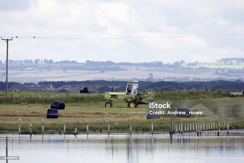 Agriculture Scenic Agriculture view Agricultural Field Stock Photo