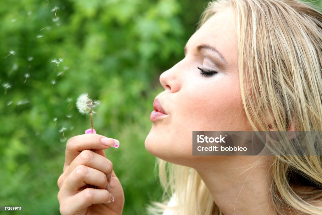 woman with dandelion Young blond adult blowing dandelion seeds. Blowing Stock Photo