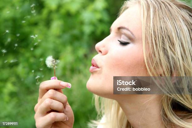 Woman With Dandelion Stock Photo - Download Image Now - Blowing, Females, Human Lips