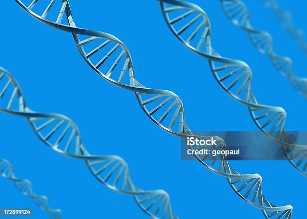Dna 撚り線 - DNAのストックフォトや画像を多数ご用意 - DNA, テクノロジー, バイオテクノロジー