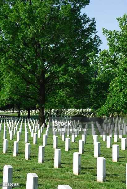 Arlington Stockfoto und mehr Bilder von Baum - Baum, Ehre, Fotografie