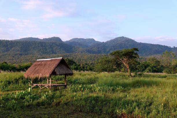 istock Rustic outbuilding  in a lush grassy field on a sunny day 1728992153