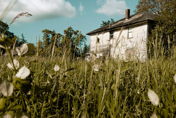 istock Rural house among the grass 172899438