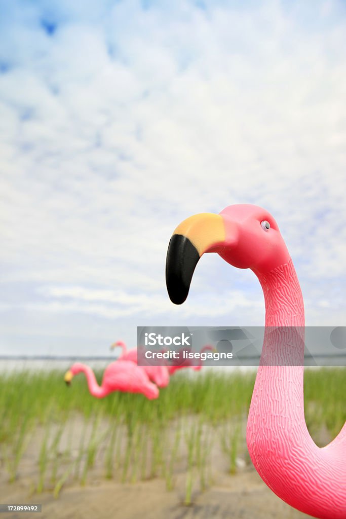 Flamenco de plástico rosa - Foto de stock de Flamenco de plástico libre de derechos