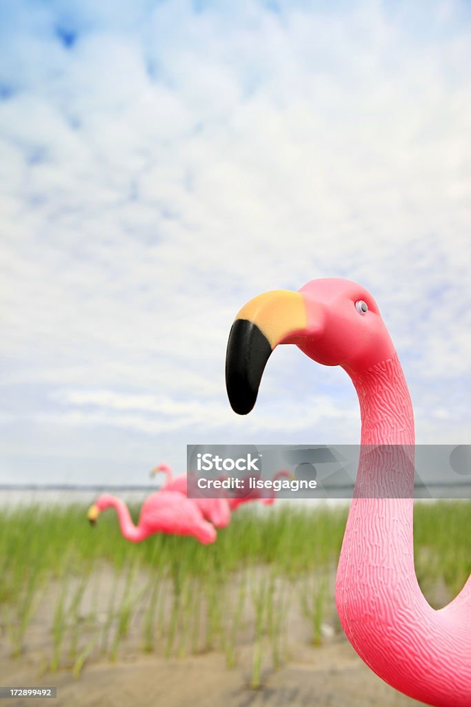 Plastikowy Flaming różowy - Zbiór zdjęć royalty-free (Plastikowy flaming)