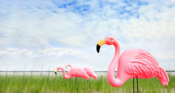 istock Pink Flamingos 172899495