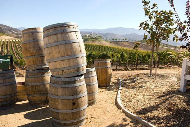 Wine Barrels stock photo