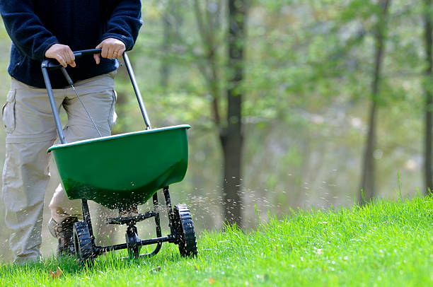 istock A man fertilizing a grassy lawn 172899681