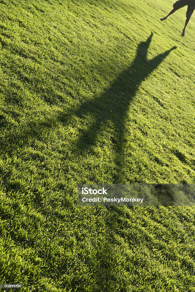 Leaping Sombra verde grama - Foto de stock de Conceito royalty-free
